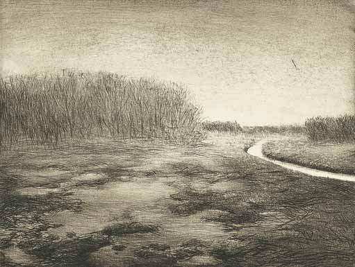 Landschaften: An der Löcknitz