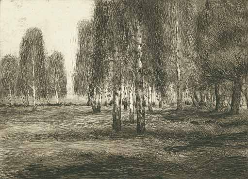 Landschaften: Birken