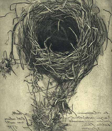 Die Serie mit dem Vogelnest: Die Burg