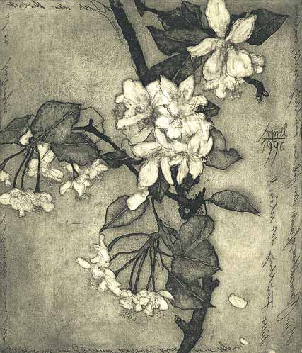 Die Serie mit dem Vogelnest: Frühling