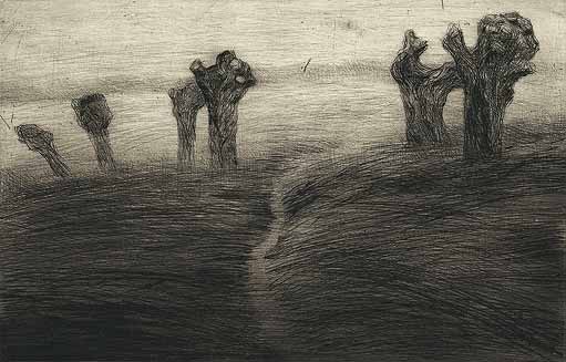 Landschaften: Weiden