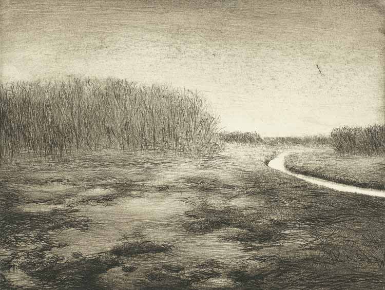 Landschaften: An der Löcknitz