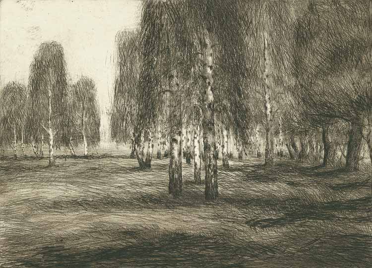 Landschaften: Birken