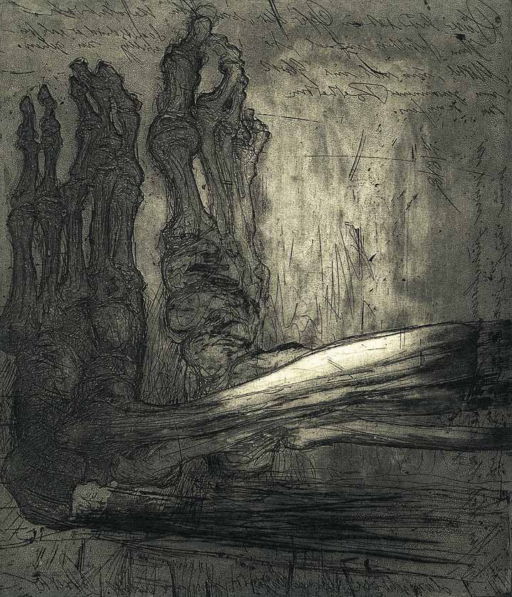 Die Serie mit dem Vogelnest: Das Opfer