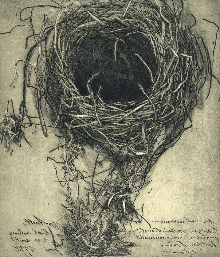 Die Serie mit dem Vogelnest: Die Burg